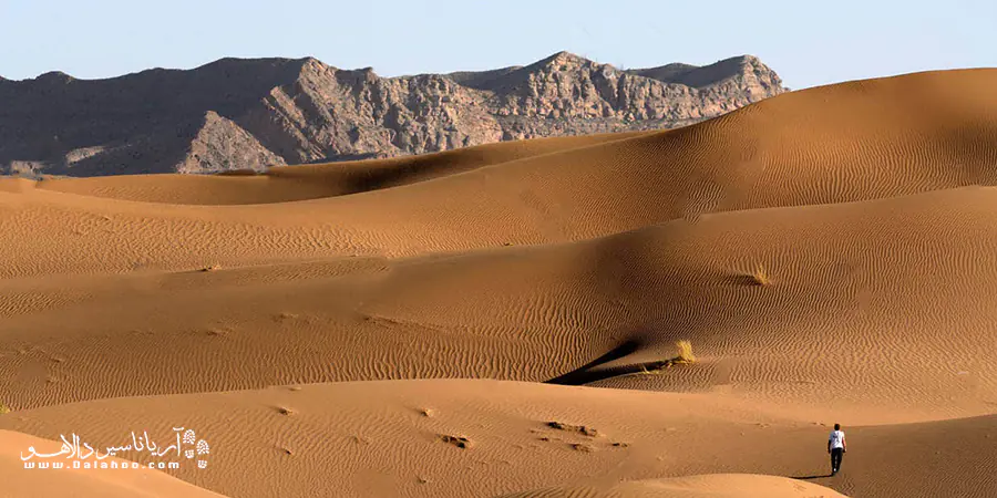 کویر مصر تا نیزار کویر مصر تا نیزار